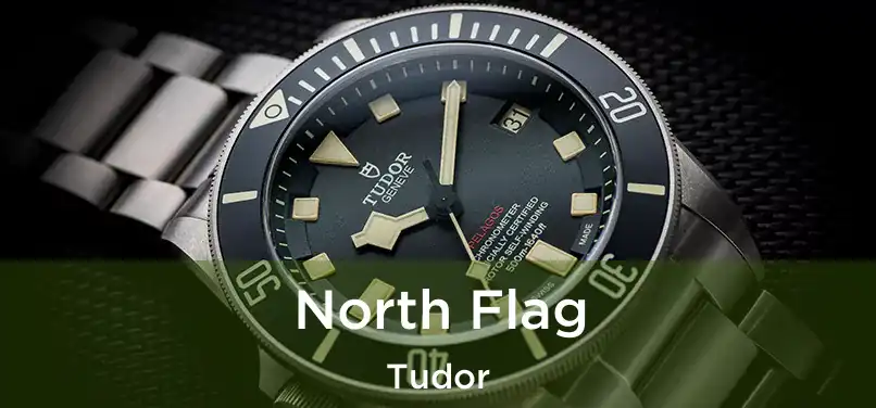  North Flag Tudor